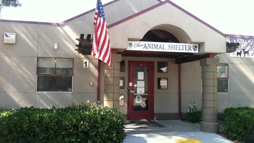 animal shelter