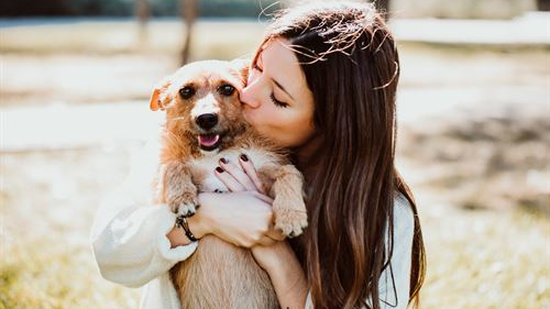 woman hugging a dog