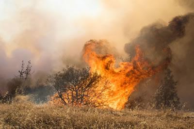 A fire in Chico