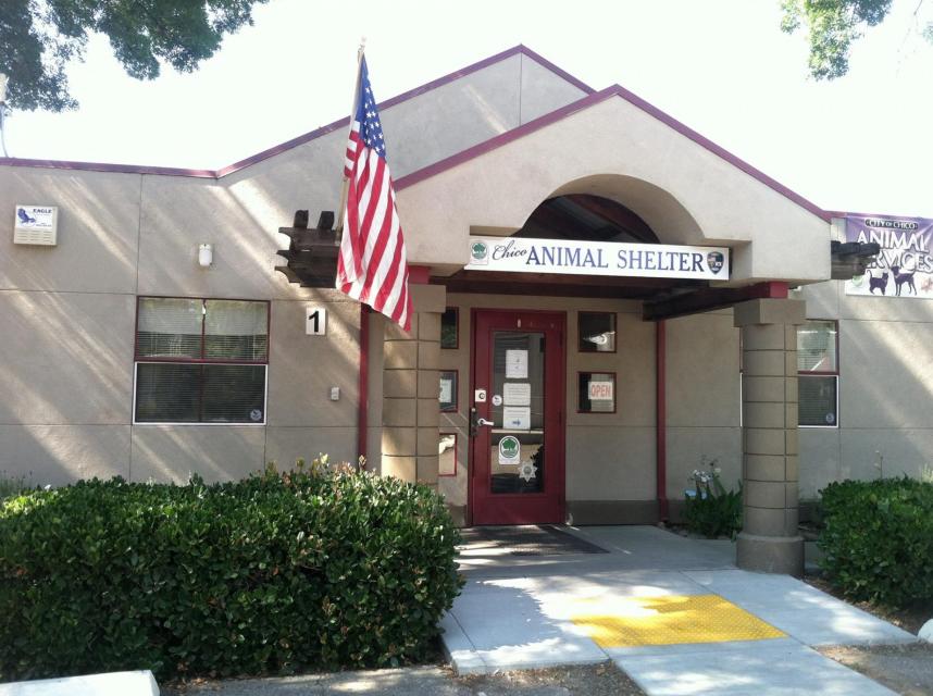 animal shelter