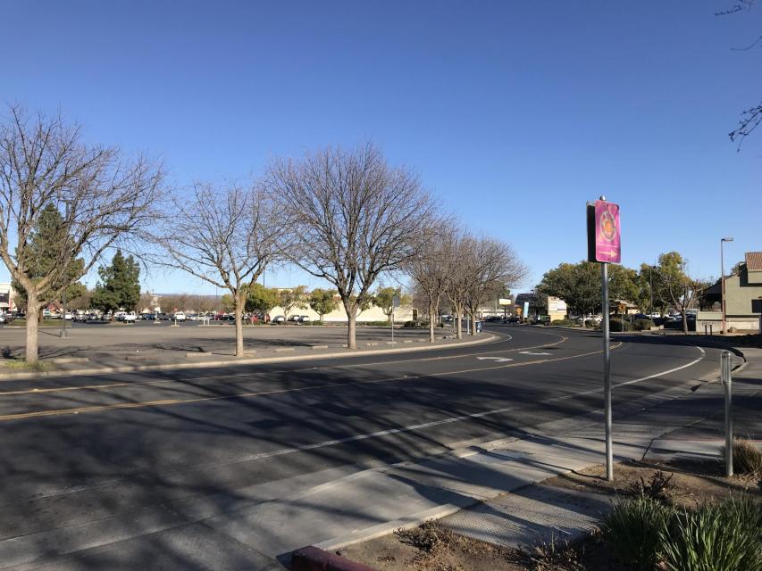 street with trees
