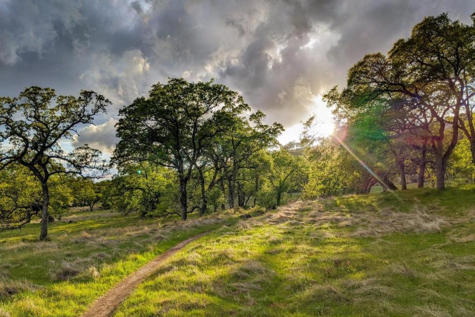 upper bidwell park