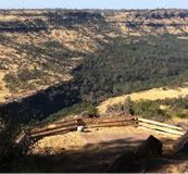 Picture of a disc golf course