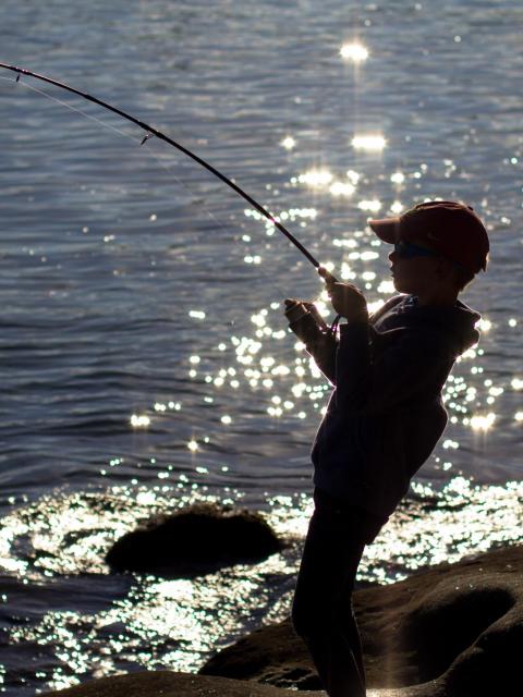 Boy Fishing