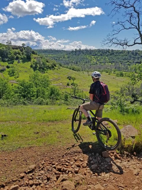 Mountain Biker