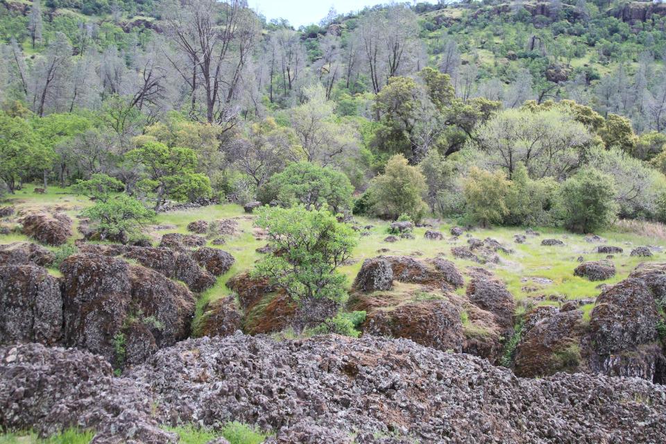 Upper Bidwell Park