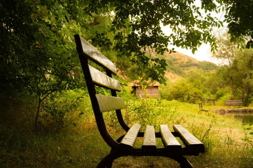 Park Bench