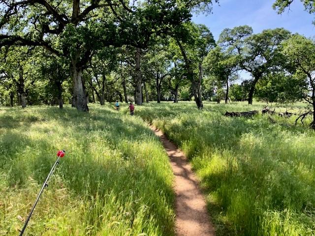 trail in field